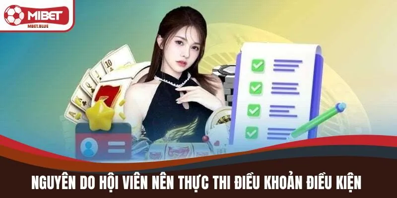 Nguyên do hội viên nên thực thi điều khoản điều kiện